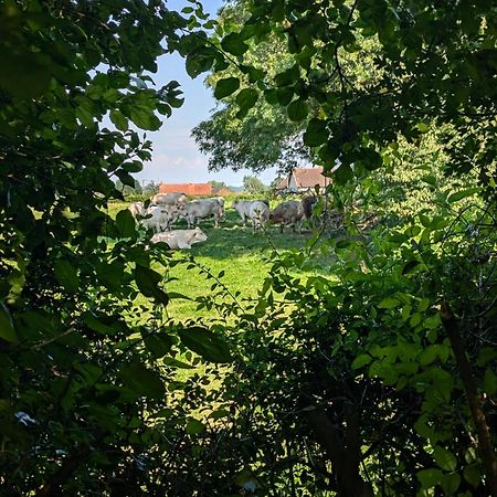 Chez Nick Et Martine Suite Privative Palinges Kültér fotó
