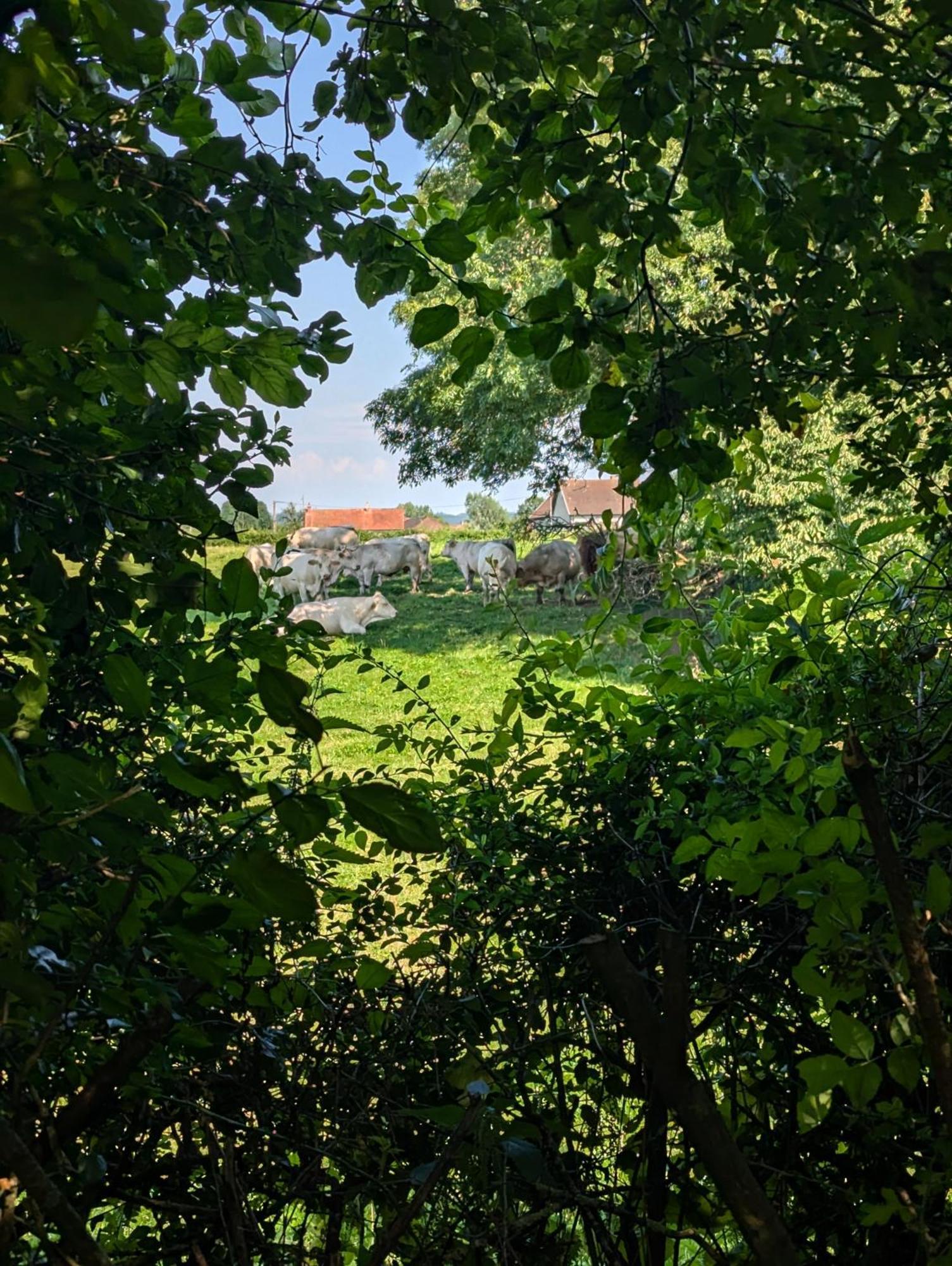 Chez Nick Et Martine Suite Privative Palinges Kültér fotó